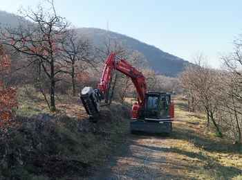 Sistemazione delle piste forestali sul Carso triestino