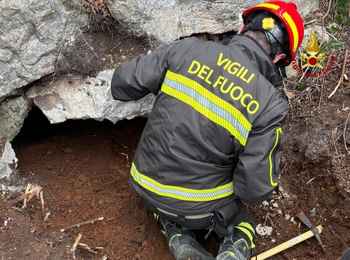 Soccordi due cani a Le Vignole